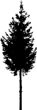 a black and white silhouette of a tree