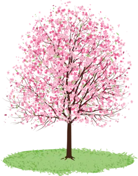a tree with pink flowers on it