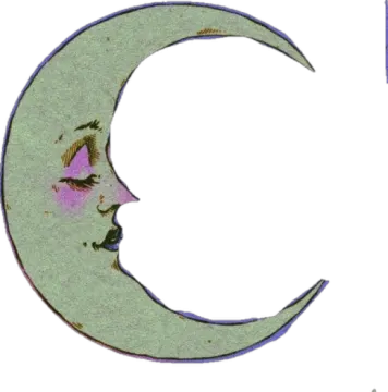 an image of a crescent with a cat sitting on it