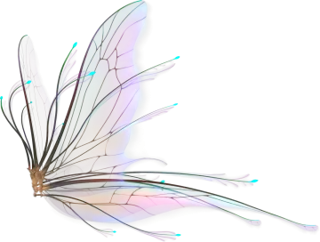 a drawing of a butterfly on a white background