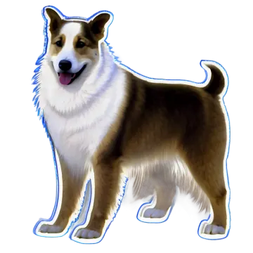 a brown and white dog standing on a white background