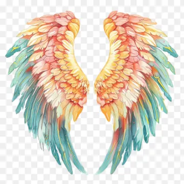 a pair of colorful wings on a transparent background