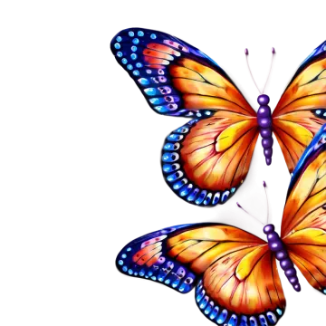 two butterflies on a white background