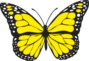a yellow butterfly on a white background