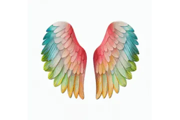 two colorful wings on a white background