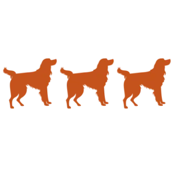 three dogs silhouetted on a white background