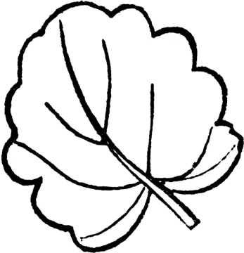 a black and white drawing of a leaf