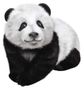 a black and white panda bear on a white background