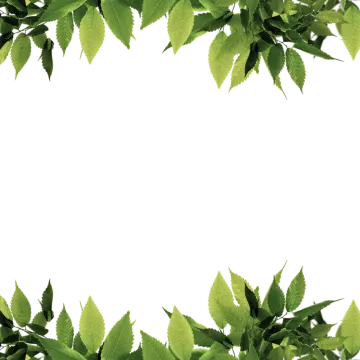 green leaves border png