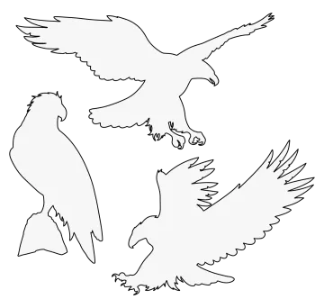 a pair of eagles flying in the sky