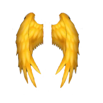 a pair of yellow wings