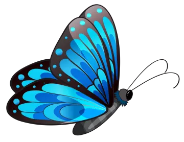 a blue butterfly on a white background