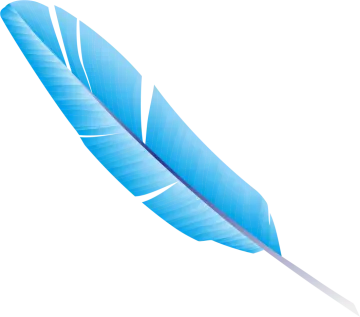 a blue feather on a white background
