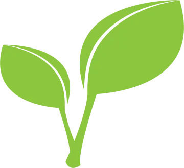 a green leaf icon