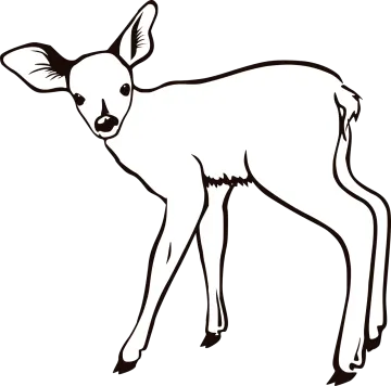 a black and white drawing of a deer