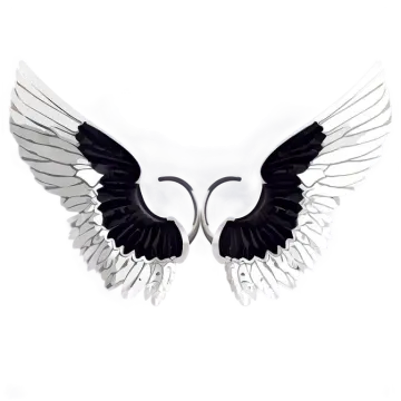a pair of wings on a white background