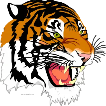 a tiger's head with its mouth open