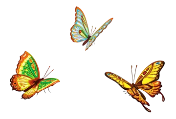 three colorful butterflies on a white background