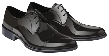 a pair of black shoes