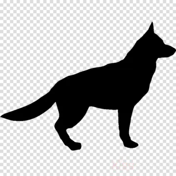 a black cat silhouetted on a transparent background