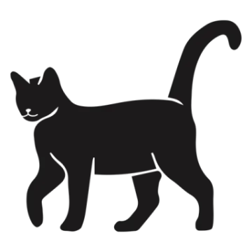 a black cat silhouetted on a white background