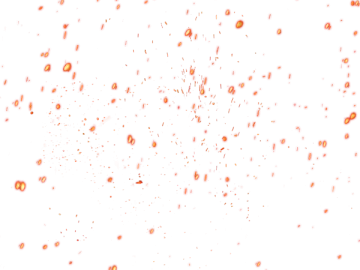 a white background with lots of small orange dots