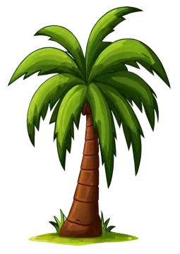 a palm tree on a white background