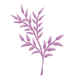 a branch with purple leaves on it