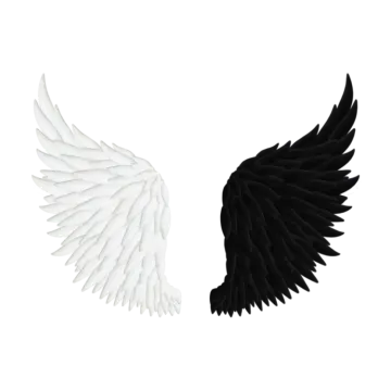 a pair of black and white wings