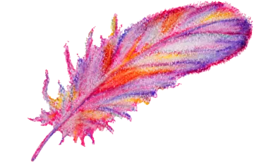 a colorful feather on a white background