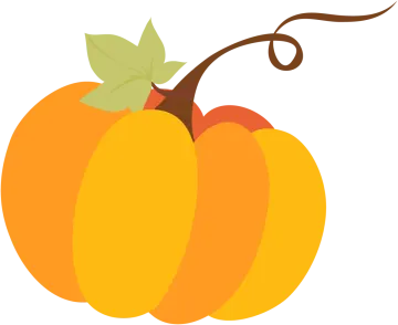 an orange pumpkin with a leaf on top