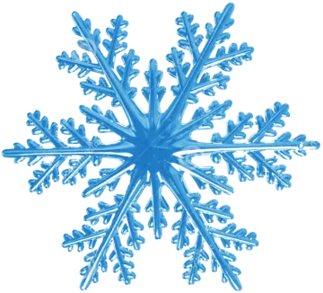 an image of a snowflorer