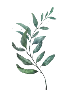 a watercolor painting of green leaves