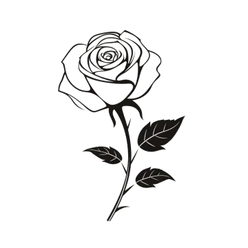 a black and white drawing of a rose