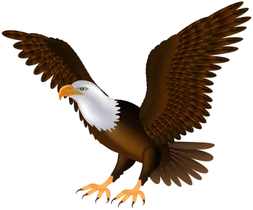an eagle flying with its wings spread
