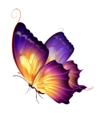 a purple and orange butterfly on white background