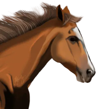 a drawing of a horse with long hair