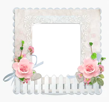 a white frame with pink roses on it