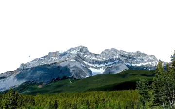 a group of trees in front of mountains