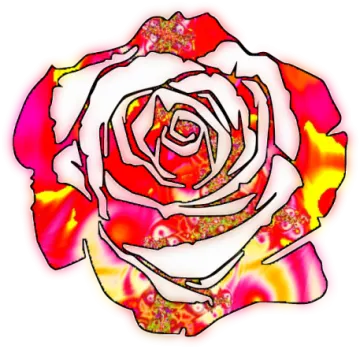 a drawing of a rose on a white background
