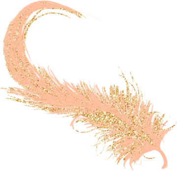 a gold feather on a white background