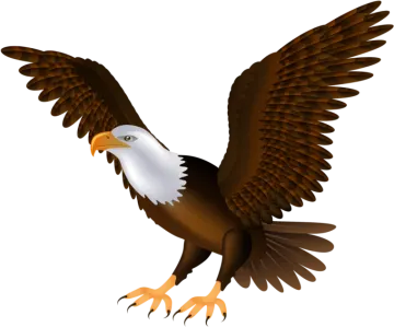 an eagle flying with its wings spread out
