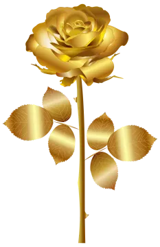 a golden rose on a white background