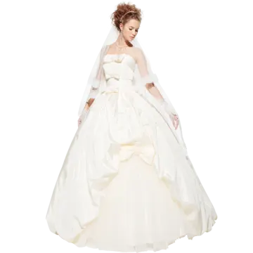 a woman wearing a wedding dress and veil