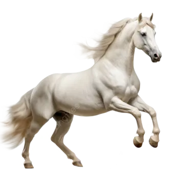 a white horse running in the air
