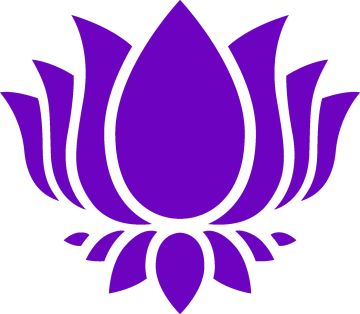 a purple lotus flower