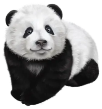 a black and white panda bear on a white background