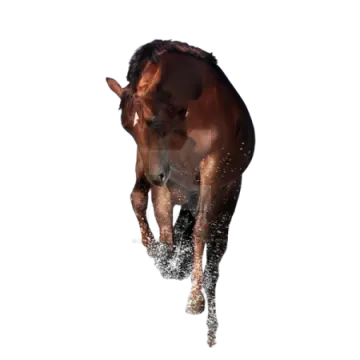 a brown horse is running in the snow