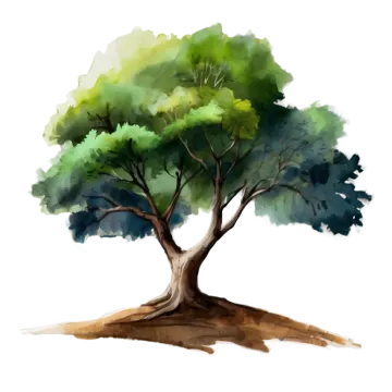 a watercolor painting of a tree