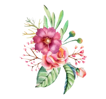 a watercolor painting of pink flowers and leaves